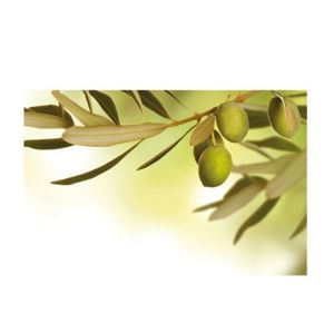 Prostírání PICTURE oliva